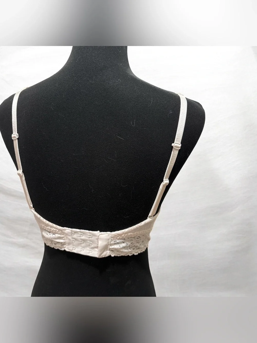 Feline Pastel Pink Lace Bralette Top Size M New!